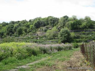 rme santa Venera27-04-2014 18-12-44